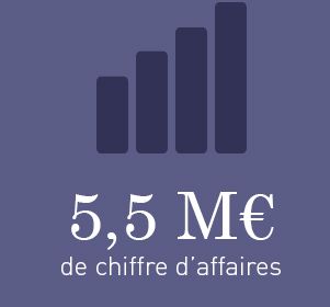 6M€ de chiffre d'affaires en 2013